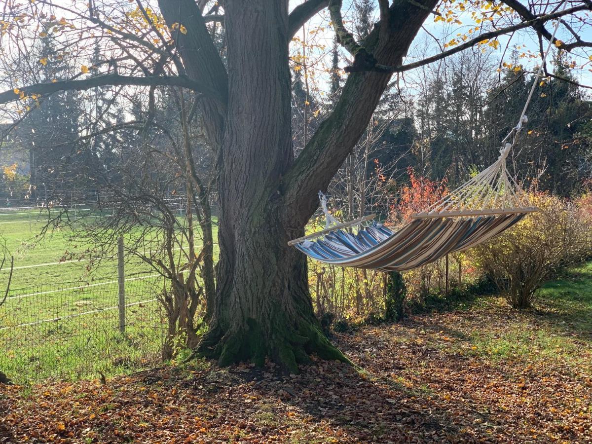 Ned Haus Villa Feldkirchen bei Graz Bagian luar foto