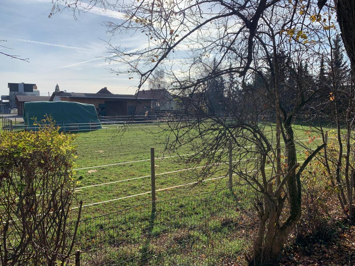 Ned Haus Villa Feldkirchen bei Graz Bagian luar foto